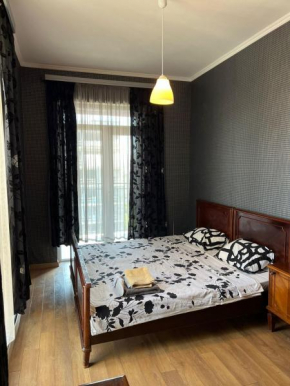 Sunny Apartment in Didi Dighomi
